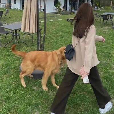非来不可第三季